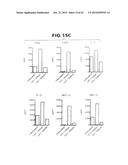 Anti-Blood Dendritic Cell Antigen 2 Antibodies And Uses Thereof diagram and image