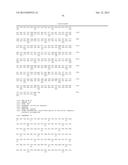 Anti-Blood Dendritic Cell Antigen 2 Antibodies And Uses Thereof diagram and image