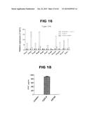 Anti-Blood Dendritic Cell Antigen 2 Antibodies And Uses Thereof diagram and image