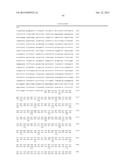 Anti-Blood Dendritic Cell Antigen 2 Antibodies And Uses Thereof diagram and image