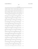 Anti-Blood Dendritic Cell Antigen 2 Antibodies And Uses Thereof diagram and image