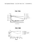 Anti-Blood Dendritic Cell Antigen 2 Antibodies And Uses Thereof diagram and image