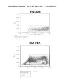 Anti-Blood Dendritic Cell Antigen 2 Antibodies And Uses Thereof diagram and image