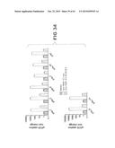 Anti-Blood Dendritic Cell Antigen 2 Antibodies And Uses Thereof diagram and image