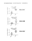 Anti-Blood Dendritic Cell Antigen 2 Antibodies And Uses Thereof diagram and image