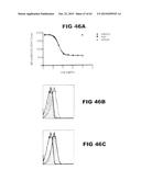 Anti-Blood Dendritic Cell Antigen 2 Antibodies And Uses Thereof diagram and image