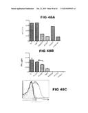 Anti-Blood Dendritic Cell Antigen 2 Antibodies And Uses Thereof diagram and image