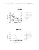 Anti-Blood Dendritic Cell Antigen 2 Antibodies And Uses Thereof diagram and image