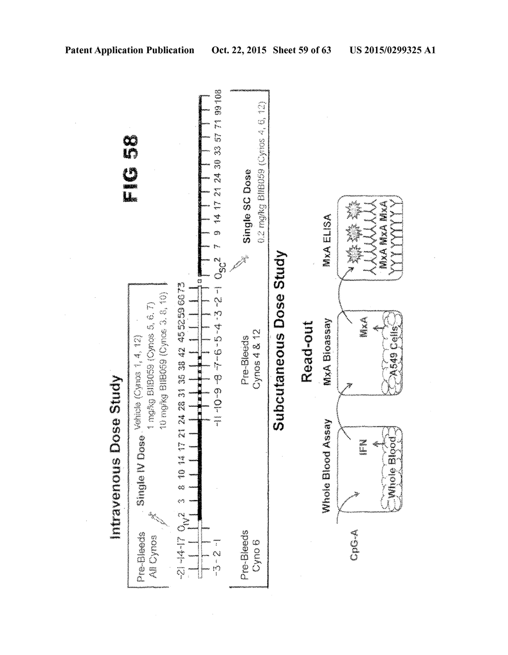 Anti-Blood Dendritic Cell Antigen 2 Antibodies And Uses Thereof - diagram, schematic, and image 60