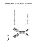 BI-SPECIFIC ANTIGEN-BINDING POLYPEPTIDES diagram and image