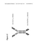 BI-SPECIFIC ANTIGEN-BINDING POLYPEPTIDES diagram and image