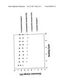 EPOXY RESIN COMPOSITES diagram and image