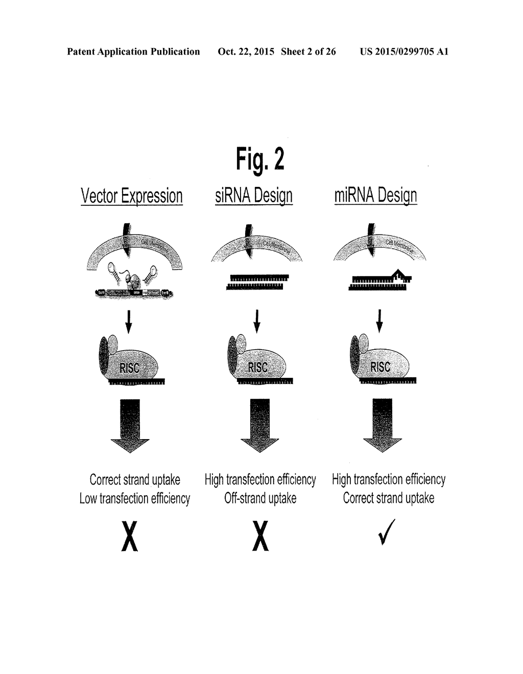 METHODS AND COMPOSITIONS INVOLVING MIRNA AND MIRNA INHIBITOR MOLECULES - diagram, schematic, and image 03