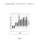 METHODS AND COMPOSITIONS INVOLVING MIRNA AND MIRNA INHIBITOR MOLECULES diagram and image