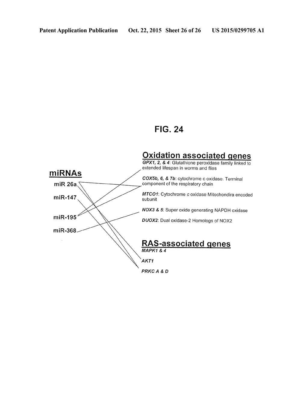 METHODS AND COMPOSITIONS INVOLVING MIRNA AND MIRNA INHIBITOR MOLECULES - diagram, schematic, and image 27