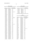 METHODS AND COMPOSITIONS INVOLVING MIRNA AND MIRNA INHIBITOR MOLECULES diagram and image