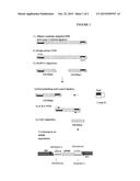 CONSTRUCTION OF POOL OF INTERFERING NUCLEIC ACIDS COVERING ENTIRE RNA     TARGET SEQUENCE AND RELATED COMPOSITIONS diagram and image