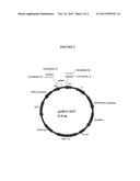 CONSTRUCTION OF POOL OF INTERFERING NUCLEIC ACIDS COVERING ENTIRE RNA     TARGET SEQUENCE AND RELATED COMPOSITIONS diagram and image