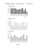 NUCLEIC ACID MOLECULE CAPABLE OF BINDING TO SALMONELLA AND USE THEREOF diagram and image