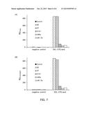 NUCLEIC ACID MOLECULE CAPABLE OF BINDING TO SALMONELLA AND USE THEREOF diagram and image