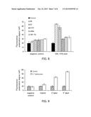 NUCLEIC ACID MOLECULE CAPABLE OF BINDING TO SALMONELLA AND USE THEREOF diagram and image