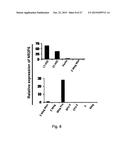 Modulation of Hematopoietic Stem Cell Differentiation diagram and image