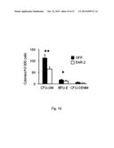 Modulation of Hematopoietic Stem Cell Differentiation diagram and image