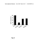 Modulation of Hematopoietic Stem Cell Differentiation diagram and image