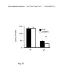 Modulation of Hematopoietic Stem Cell Differentiation diagram and image