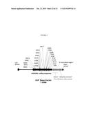 AHAS MUTANTS diagram and image