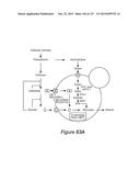 METHODS AND COMPOSITIONS FOR IMPROVING SUGAR TRANSPORT, MIXED SUGAR     FERMENTATION, AND PRODUCTION OF BIOFUELS diagram and image