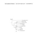 METHODS AND COMPOSITIONS FOR IMPROVING SUGAR TRANSPORT, MIXED SUGAR     FERMENTATION, AND PRODUCTION OF BIOFUELS diagram and image