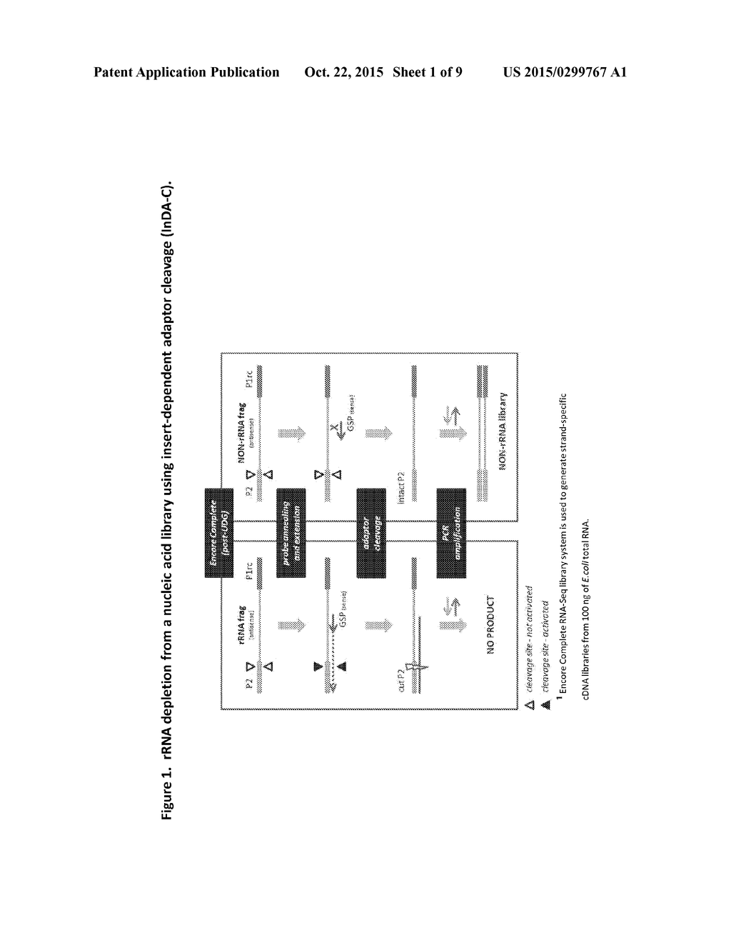 COMPOSITIONS AND METHODS FOR NEGATIVE SELECTION OF NON-DESIRED NUCLEIC     ACID SEQUENCES - diagram, schematic, and image 02