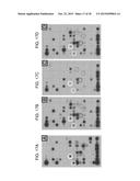 Methods for Detecting Signatures of Disease or Conditions in Bodily Fluids diagram and image