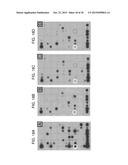 Methods for Detecting Signatures of Disease or Conditions in Bodily Fluids diagram and image