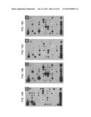 Methods for Detecting Signatures of Disease or Conditions in Bodily Fluids diagram and image