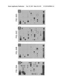 Methods for Detecting Signatures of Disease or Conditions in Bodily Fluids diagram and image