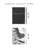 GRAPHENE BASED ELECTRODES AND APPLICATIONS diagram and image