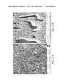 GRAPHENE BASED ELECTRODES AND APPLICATIONS diagram and image