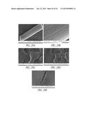 GRAPHENE BASED ELECTRODES AND APPLICATIONS diagram and image