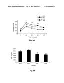 Nano-sized Bagasse Fiber diagram and image