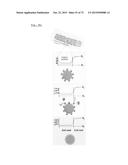 SENSOR INCLUDING CORE-SHELL NANOSTRUCTURE, AND METHOD FOR PRODUCING SAME diagram and image