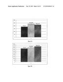 METHODS OF DIAGNOSING PROLIFERATIVE DISORDERS diagram and image