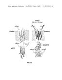 MODELS FOR PARKINSON S DISEASE STUDIES diagram and image