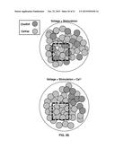 MODELS FOR PARKINSON S DISEASE STUDIES diagram and image