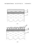 Biological Sensor and a Method of the Production of Biological Sensor diagram and image