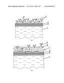 Biological Sensor and a Method of the Production of Biological Sensor diagram and image