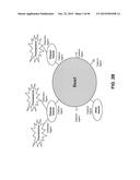 BIOMARKER COMPOSITIONS AND METHODS diagram and image