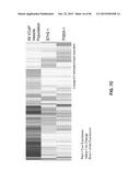 BIOMARKER COMPOSITIONS AND METHODS diagram and image