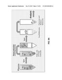 BIOMARKER COMPOSITIONS AND METHODS diagram and image